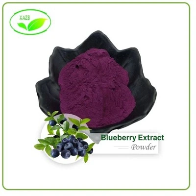 Blueberry Extract